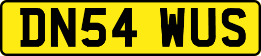 DN54WUS