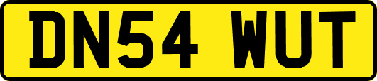 DN54WUT