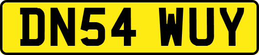 DN54WUY