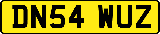 DN54WUZ