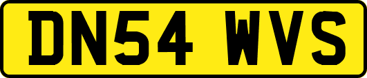 DN54WVS