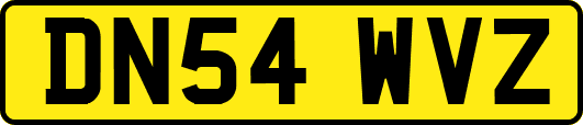 DN54WVZ