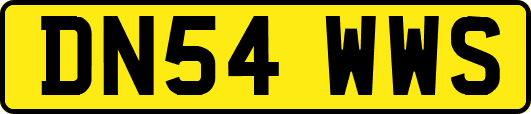 DN54WWS