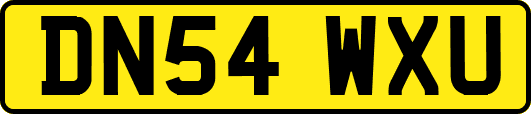 DN54WXU