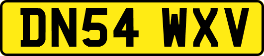 DN54WXV