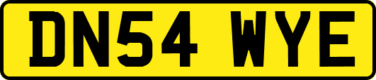 DN54WYE