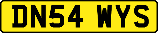 DN54WYS