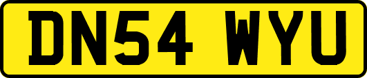 DN54WYU