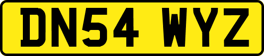 DN54WYZ