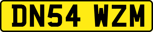 DN54WZM