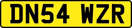 DN54WZR