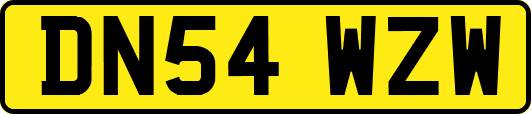 DN54WZW