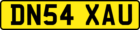 DN54XAU
