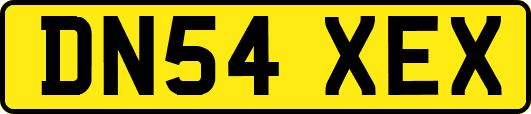 DN54XEX