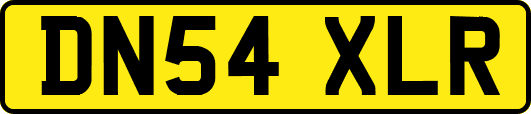 DN54XLR