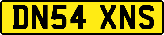 DN54XNS