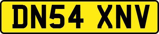 DN54XNV