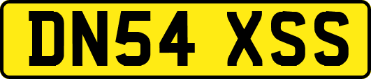 DN54XSS