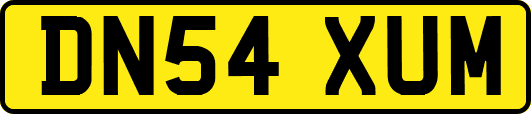 DN54XUM
