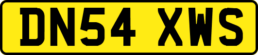 DN54XWS
