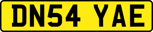 DN54YAE