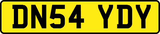 DN54YDY