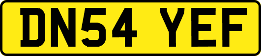 DN54YEF