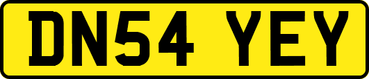 DN54YEY