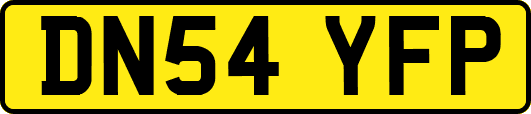 DN54YFP