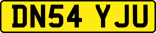 DN54YJU