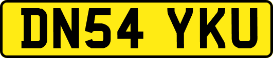 DN54YKU