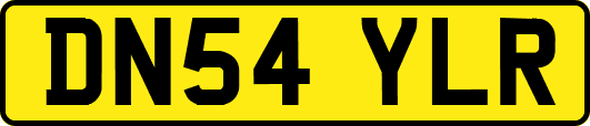 DN54YLR