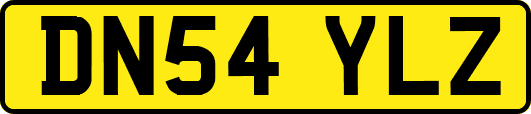 DN54YLZ