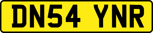 DN54YNR