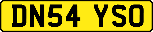 DN54YSO