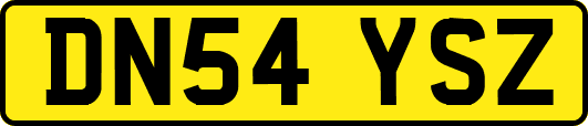 DN54YSZ