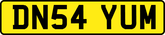 DN54YUM