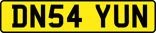 DN54YUN