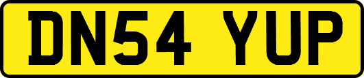 DN54YUP