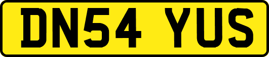 DN54YUS