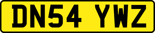 DN54YWZ