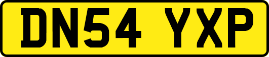 DN54YXP