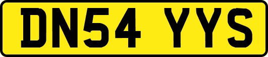 DN54YYS