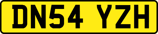 DN54YZH