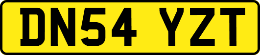 DN54YZT