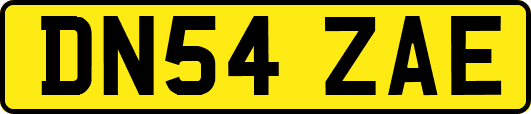 DN54ZAE