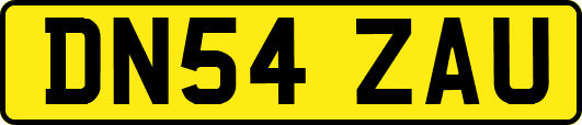 DN54ZAU