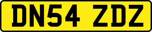 DN54ZDZ