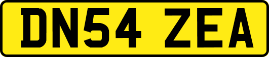 DN54ZEA