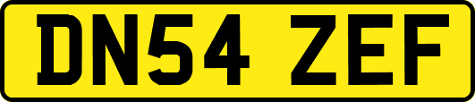DN54ZEF